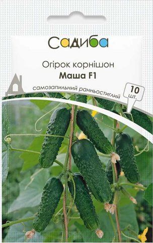 Насіння огірка Маша F1 10 шт, Садиба 621792499 фото