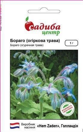 Семена бораго (огуречная трава) 1 г, Hem Zaden 717645181 фото