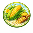 Насіння кукурудзи