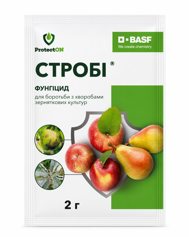 Стробі 2 г фунгіцид, ProtectON 998778595 фото