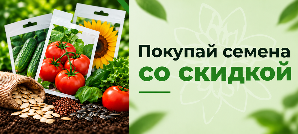 Знижка насіння
