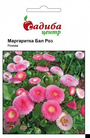Насіння Маргартики Стокротка Бал Роз 0,1 г, Садиба 832784478 фото