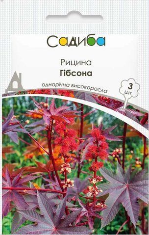 Насіння рицини Гібсона 3 шт, Нім Zaden 2477214706 фото