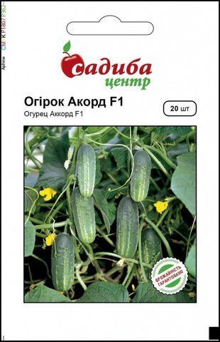 Семена огурца Аккорд F1 20 шт, Садиба 606849341 фото