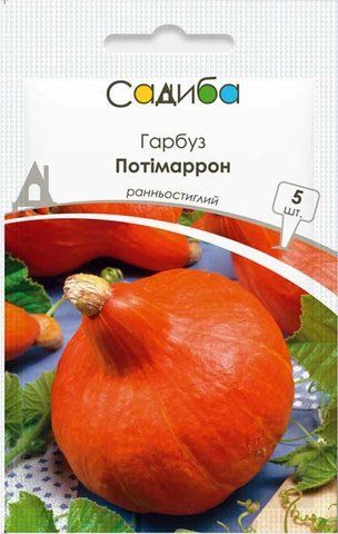 Семена тыквы Потимаррон 5 шт, Садиба 998778564 фото