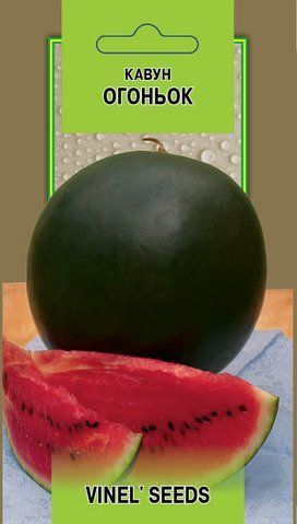 Насіння кавуна Вогник 20 шт, Vinel' Seeds 998778522 фото