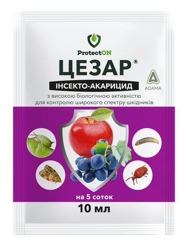 Цезарь 10 мл инсектоакарицид, ProtectON 998778621 фото