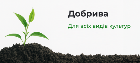 3 баннер Banner from design